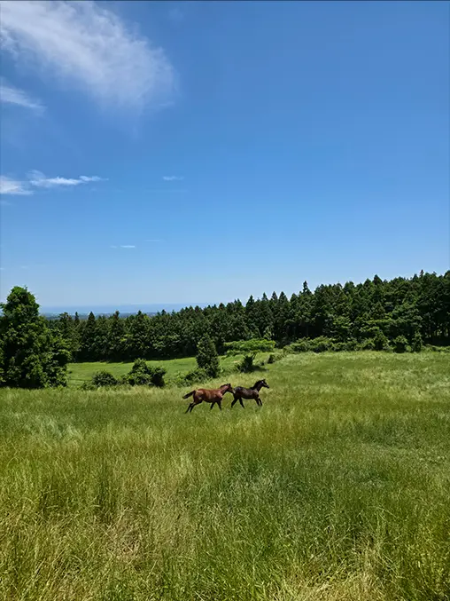 Nagy felbontású portré egy csoport, erdőben álló emberről a Galaxy Z Fold7 200 megapixeles hátlapi kamerájával. A kép
      megörökíti a finomabb részleteket és textúrákat.