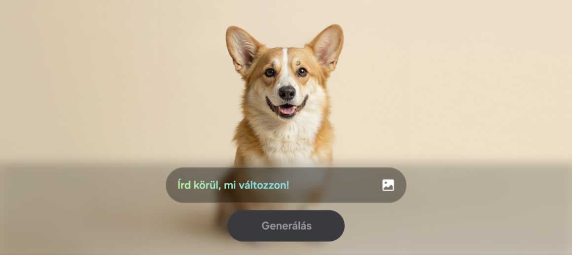 Samsung Galaxy S26/S26+