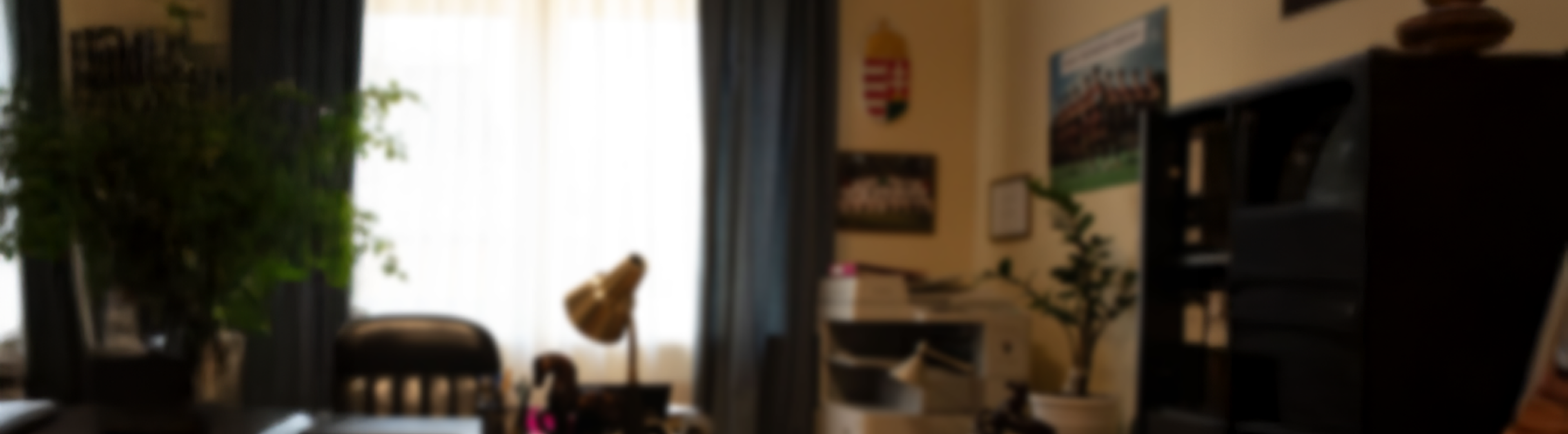 Netvédelem Plusz kreatívon egy középkorú férfi egy fiatalabbal nézi a tebletet